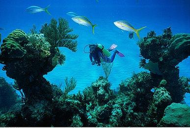 恶魔与少女携手复仇故事，《被虐的诺艾尔》PS4版 正式发售